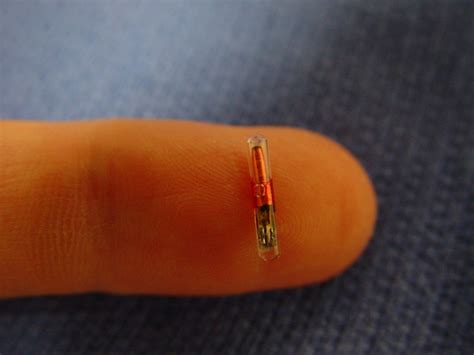 market research for rfid chips|rfid implants in the hand.